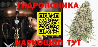 индика Гусь-Хрустальный