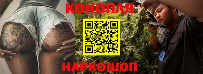 индика Гусь-Хрустальный