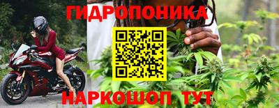 индика Гусь-Хрустальный