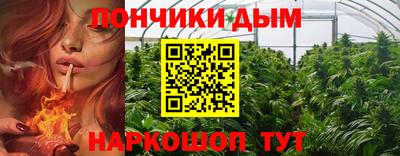 шишки Гусев