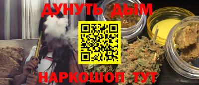 индика Гусь-Хрустальный