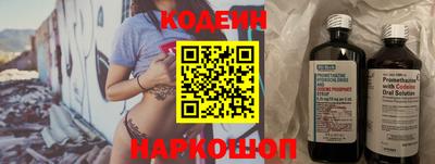 индика Гусь-Хрустальный