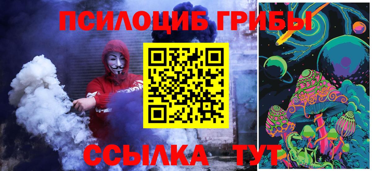 Псилоцибиновые грибы мицелий Королёв