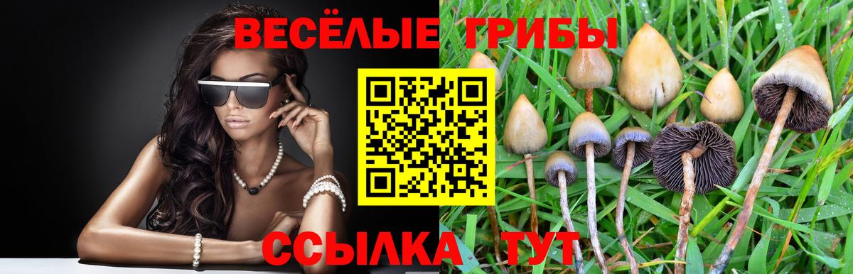 Галлюциногенные грибы GOLDEN TEACHER  Вход с VPN  Королёв 