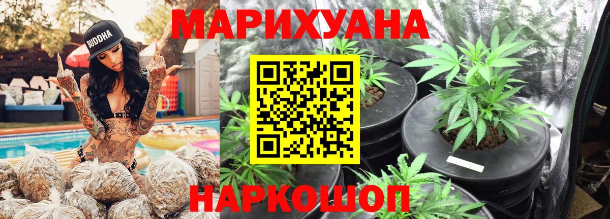 Конопля планчик Королёв